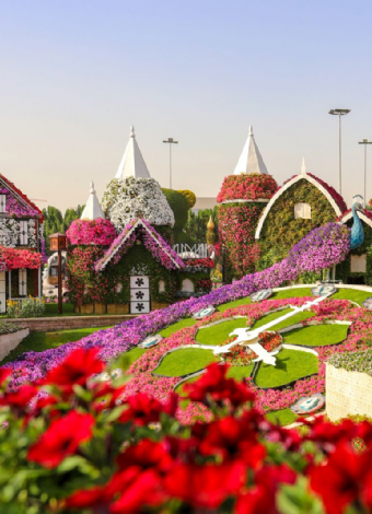 Kişiye  Özel Dubai Turu