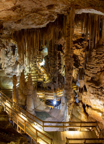 Paket Tur (Sümela-Karaca-Zigana-Hamsiköy)