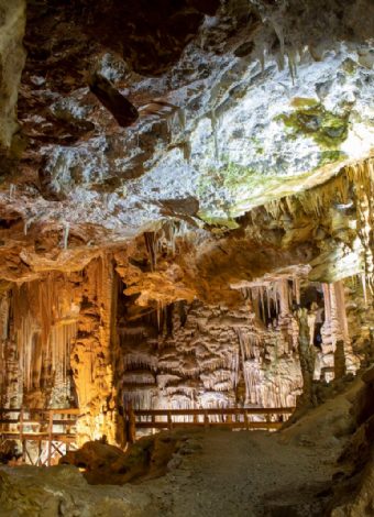 Paket Tur (Sümela-Karaca-Zigana-Hamsiköy)